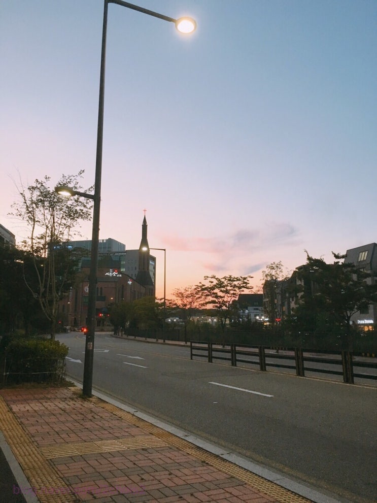 운전면허 합격!!! 운전면허 합격!!!