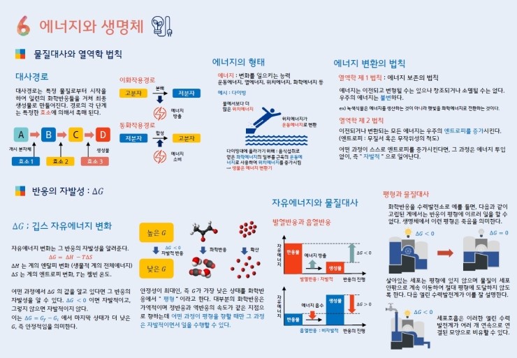  chap 6. 에너지와 생명체