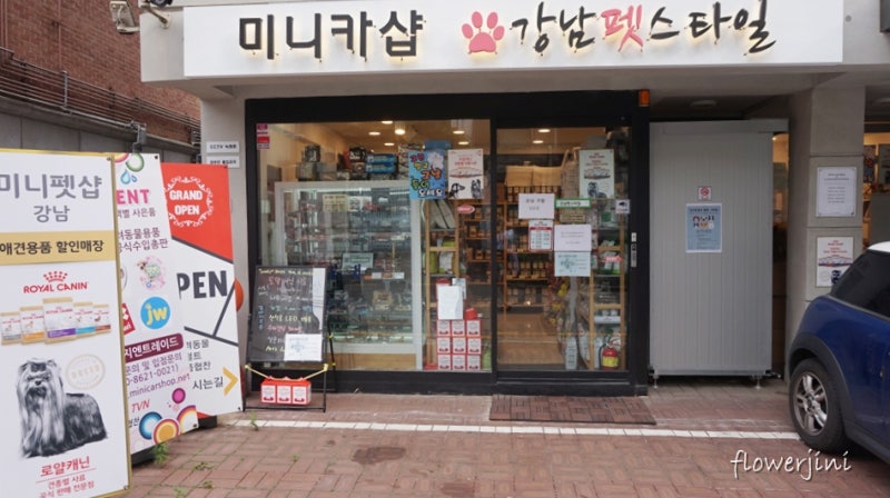 강남펫스타일