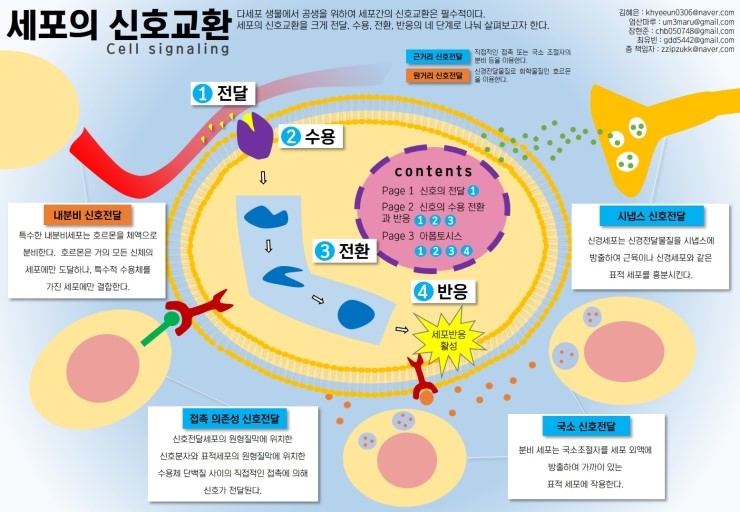  chap 9. 세포의 신호교환
