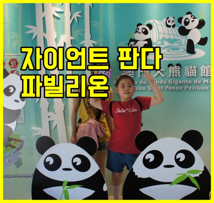  마카오 자이언트 판다 파빌리온 & 마카오 안젤라 카페(ANGELA'S CAFE) 2편(2018년)