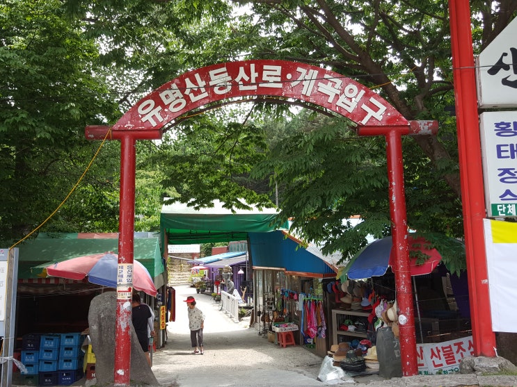  가평 유명산 자연휴양림 계곡 당일치기로도 좋아요