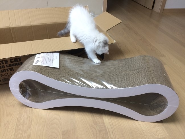  [역대급 고양이 스크래쳐][아마존 해외 직구] 펫퓨전 고양이 스크래쳐 라운지, PetFusion Ultimate Cat Scratcher Lounge