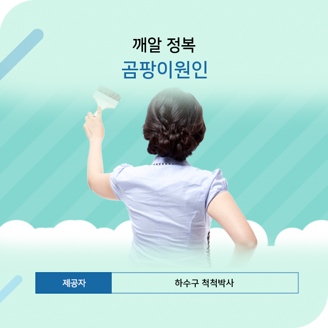 정왕동하수구 알고 싶다 곰팡이원인 정보