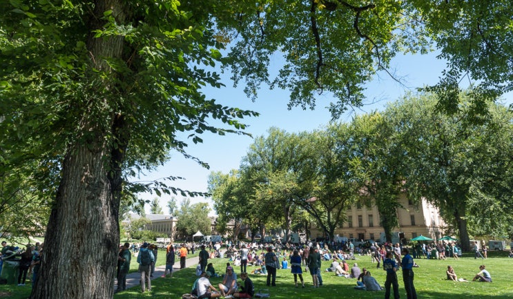  [INTO를 통해 미국 대학교 입학하기] Colorado State University