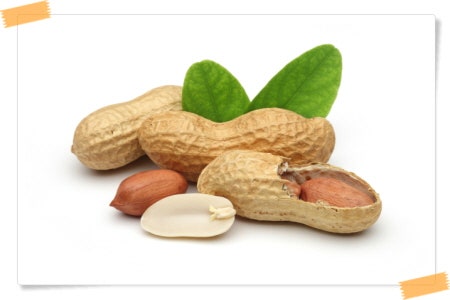 땅콩 효능 6가지! 껍질 알레르기 부작용 칼로리 높은 음식 치매예방법 GI지수 낮은 당뇨에 치매에 빈혈에 뇌에 좋은 음식 9