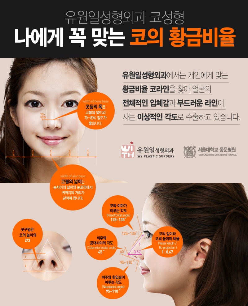 코성형 수술에 대하여 (종류, 가격, 회복기간 등) : 네이버 블로그 코성형 수술에 대하여 (종류, 가격, 회복기간 등) : 네이버 블로그