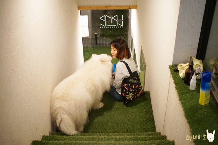  남양주 예쁜 카페 레인하우스 (멍멍이 좋아)