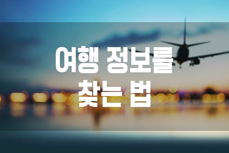 여행정보