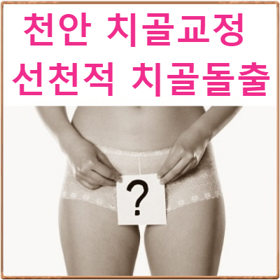  치골돌출 교정의 효율성 문제 : 선천적 후천적 요인 판단 기준 QnA : 천안골반교정 한의원 칼럼