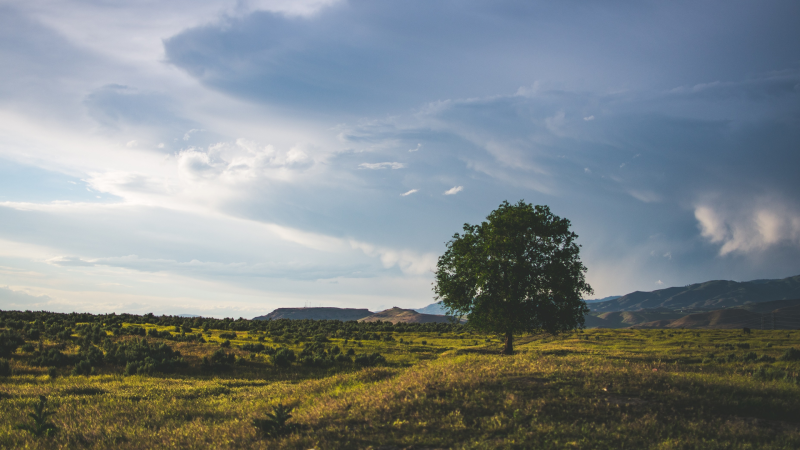 배경화면 사진 고화질 – transportkuu.com