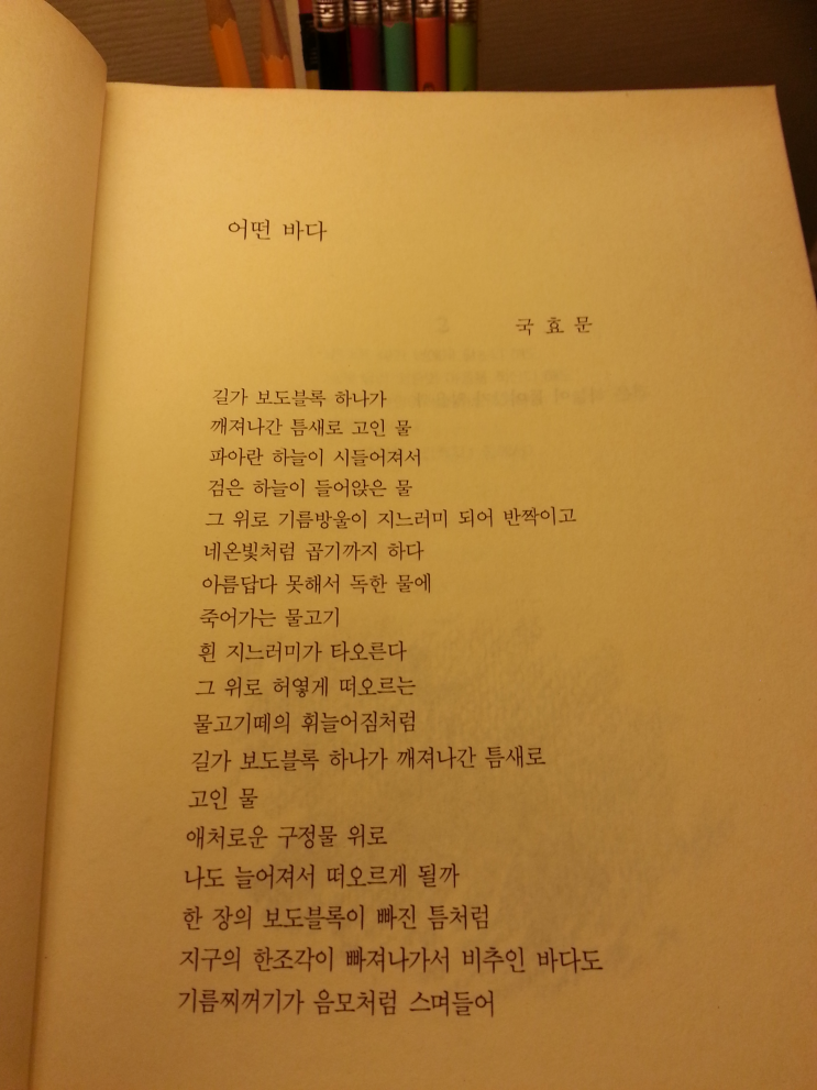  국효문 시인 : 어떤 바다 / 김선굉 시인 : 도미의 배 / 고정희 시인 : 간척지干拓地 1 / 김강태 시인 : 바다새 3