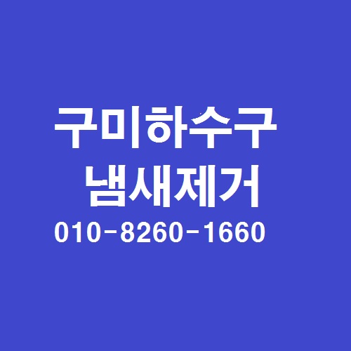  구미 하수구 냄새 제거하고 날파리 없애는법
