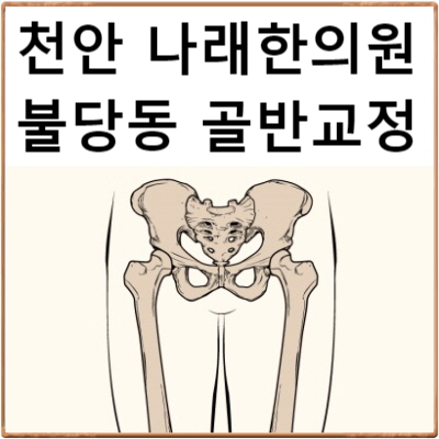  불당동 골반교정 하러 신부동 나래한의원 오시는 길 안내 : 천안골반교정 한의원