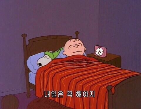 스누피 짤 , 감성짤 , 감성사진 , 글귀사진 , 피너츠 짤 모음 : 네이버 블로그