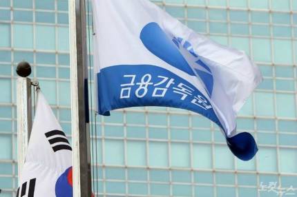 암보험 부지급 사태 키운 금융감독원 '보험사 조력자' 오명 뒤집어써 암보험 부지급 사태 키운 금융감독원 '보험사 조력자' 오명 뒤집어써