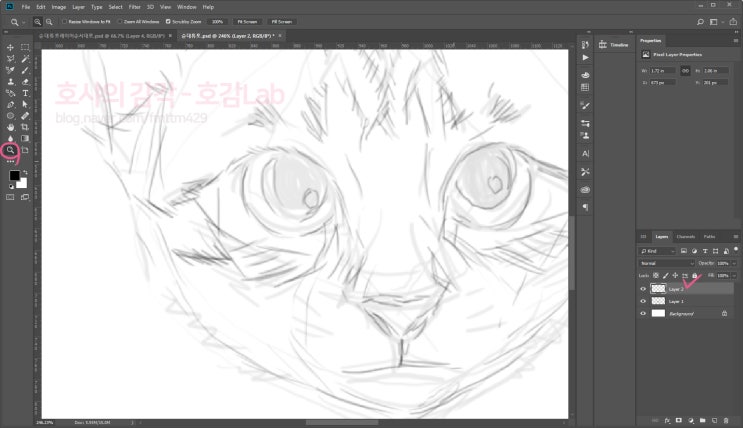 포토샵으로 고양이 일러스트 그리기 스케치편