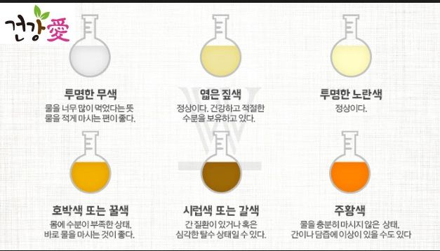  소변색으로 건강을 자가진단 하자