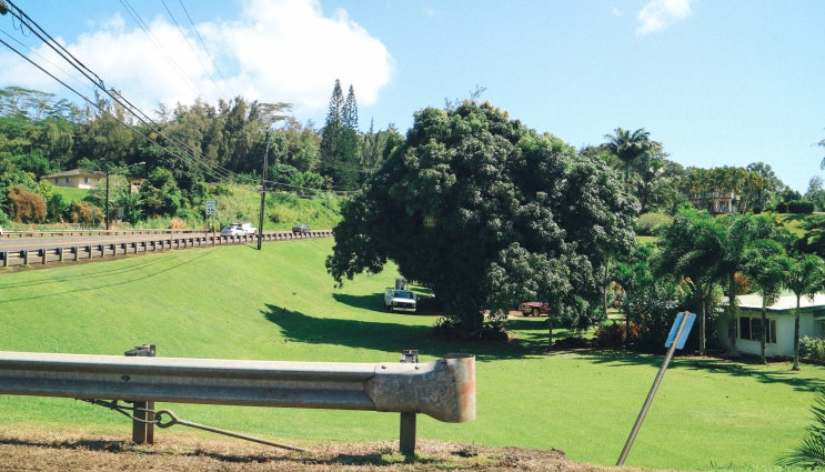  [Hawaii] 하와이 신혼여행_카우아이섬 WAIMEA CANYON을 가다!