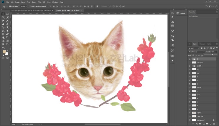 치즈 고양이 그림 포토샵으로 채색하기