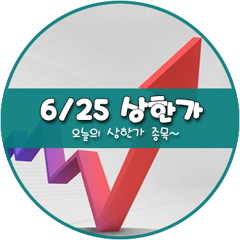 오늘의 상한가 및 테마주 6월 25일 _ 루미마이크로 평화산업 테라셈 디딤