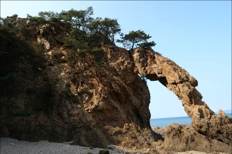  [인천]승봉도 섬 트레킹 및 야생화 탐방!!