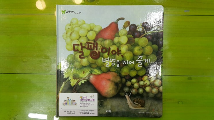  [대구어린이서점-칠곡북놀이터]자연이랑 / 달팽이야, 별명을 지어 줄게 / 땅에 사는 동물 / 조반나 가르초니 <달팽이와 포도 그리고 배> / 아람북스