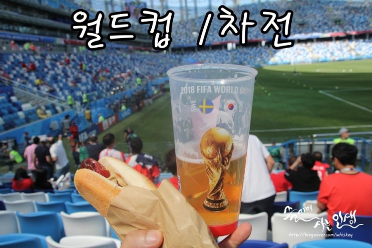  [러시아 월드컵] 러시아 월드컵 1차전 직관 후기
