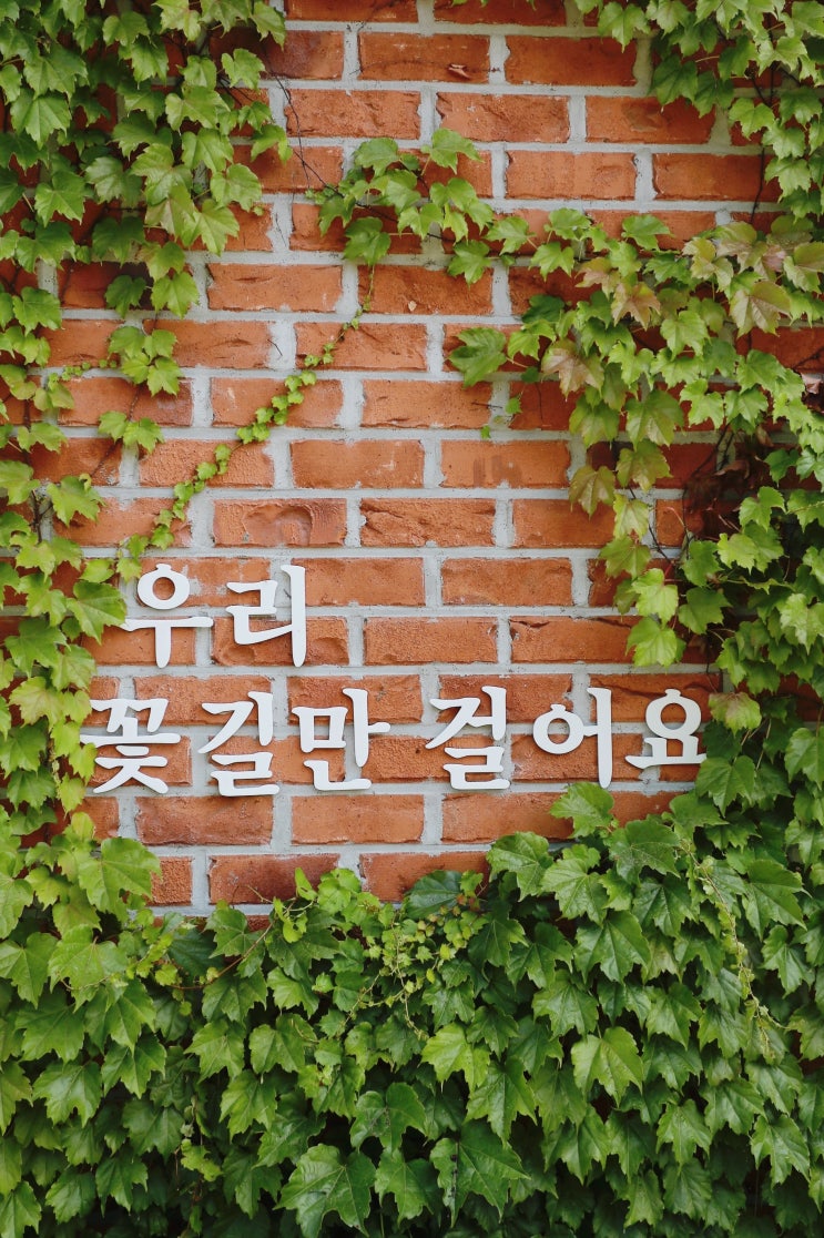  [합천 카페] 합천 물놀이 명소 정양레포츠공원 근처 창밖이 아름다운 카페 '카페 그꽃'