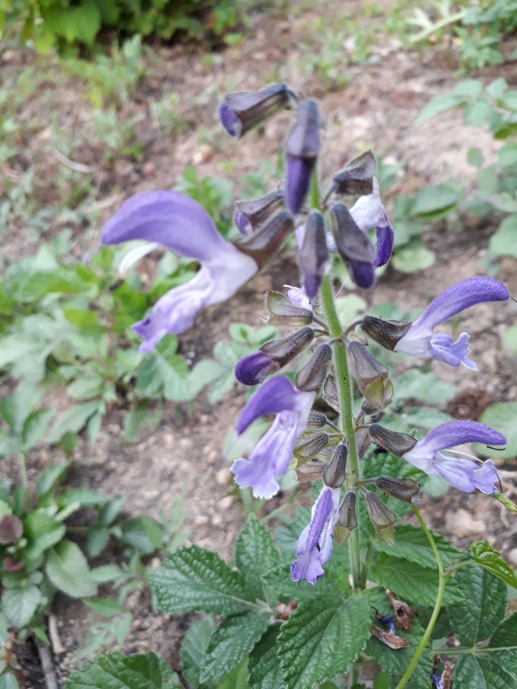 산골 농장 둘러보기