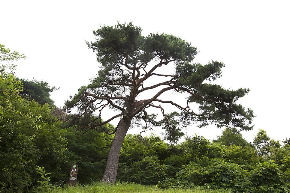 황새골 사진 2