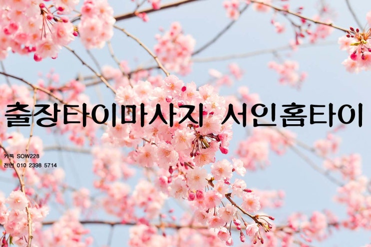  시원한 수원출장타이마사지 여기에요!