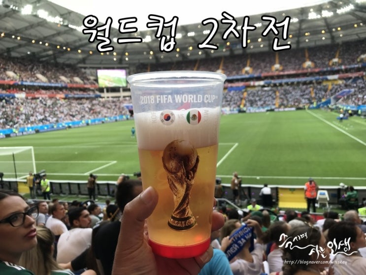  [러시아 월드컵] 러시아 월드컵 2차전 직관 후기