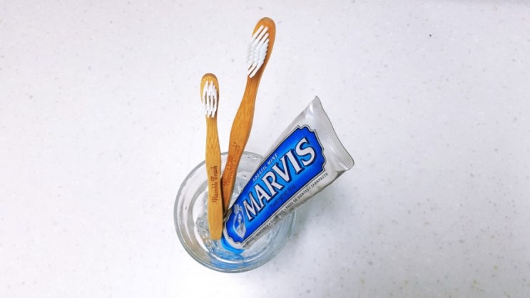  애정하는 칫솔 , Humble Brush 험블브러쉬_나무가 좋아요
