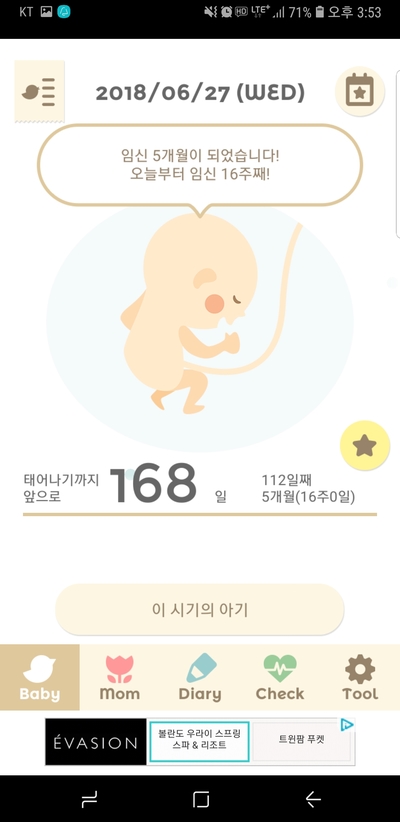 [임신 16주 0일]D-168 태교일기 2018.06.27