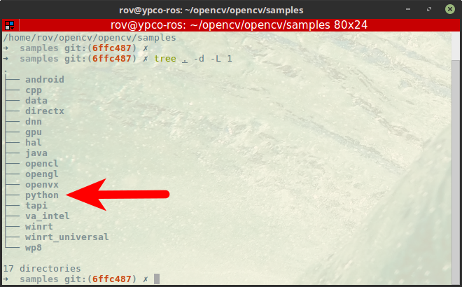 Opencv 파이썬 샘플 코드 인식된 얼굴에 모자이크 효과 네이버 블로그