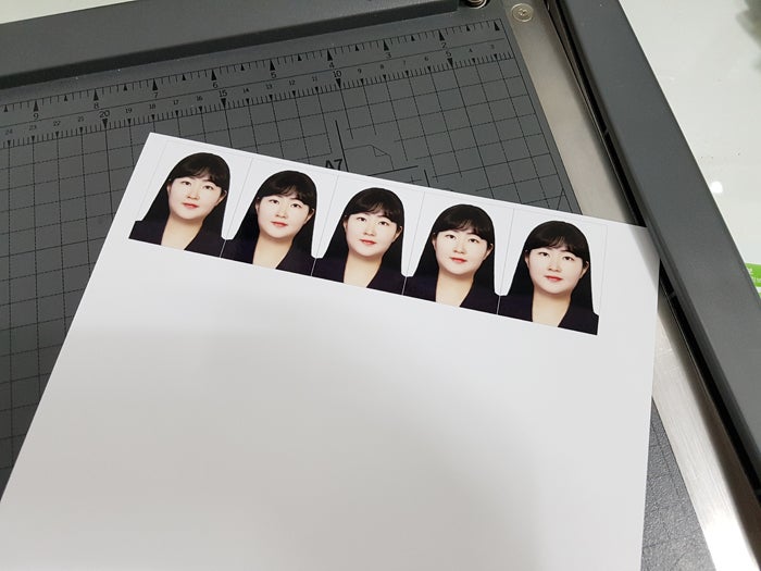 운전면허 사진규격 : 네이버 블로그