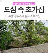  [수원/역사이야기] 초가집의 덕을 배우며 - 수원 광주이씨 월곡댁 