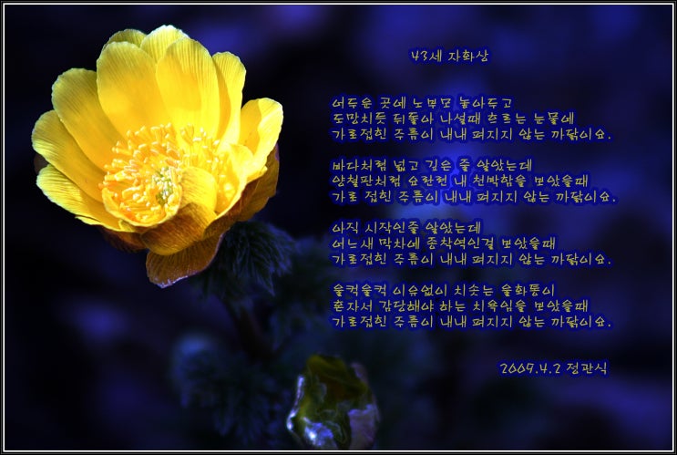  43세 자화상