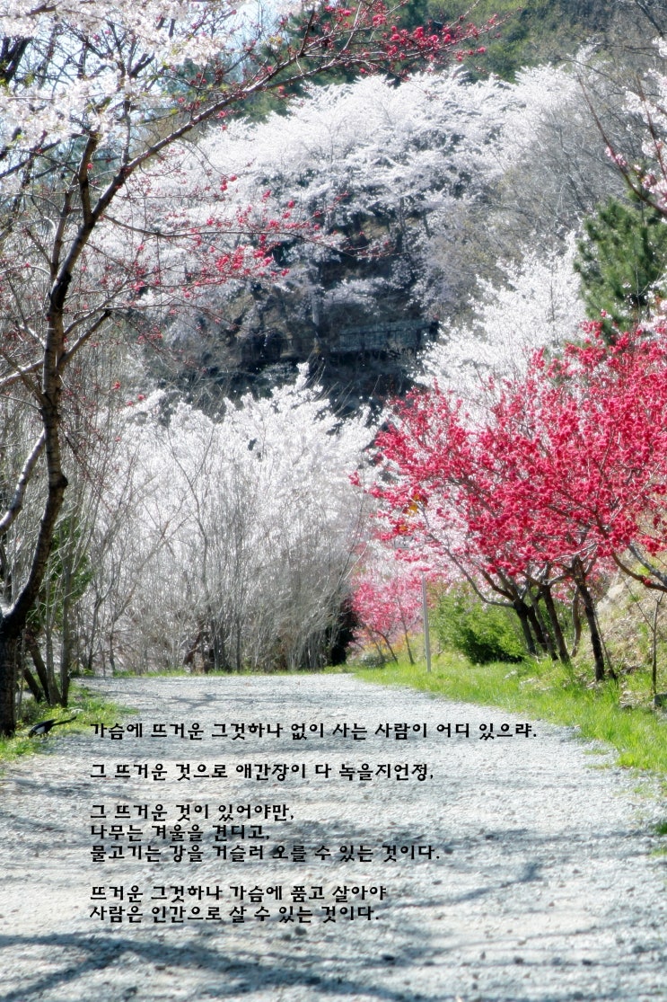  인간으로 사는 이유