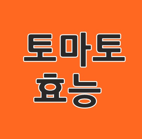 토마토효능 정말 잘 챙겨먹어야 겟어요