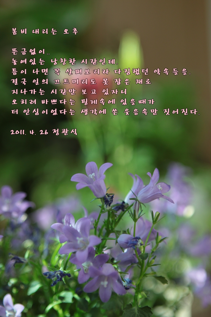  봄비 내리는 오후