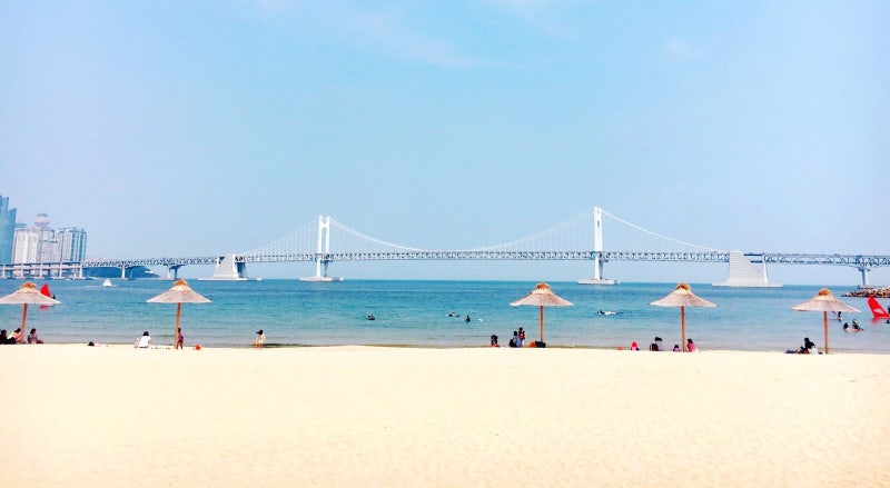 여름아 어서와~! 광안리 해수욕장 똑똑하게 이용하는 방법 : 네이버 블로그