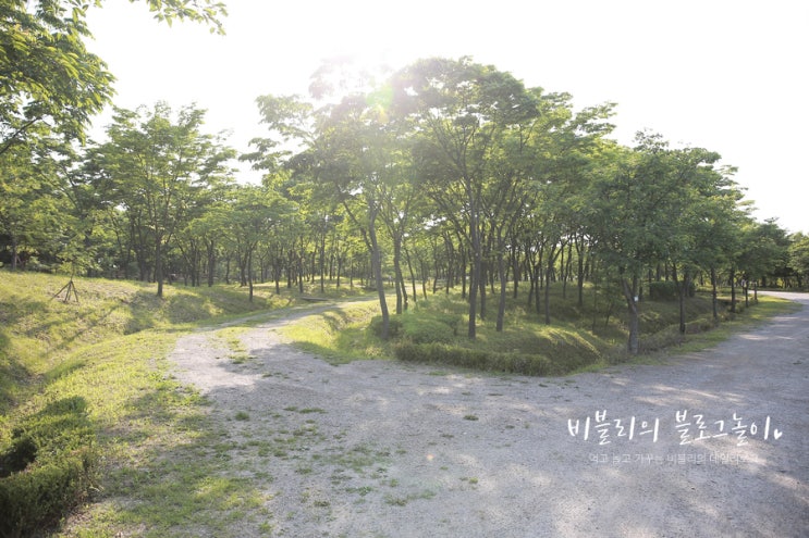  오존주의보 미세먼지 줄여주는 친환경 콘덴싱보일러로 예방하자