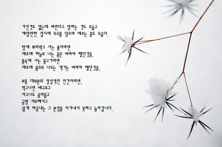  접시우주