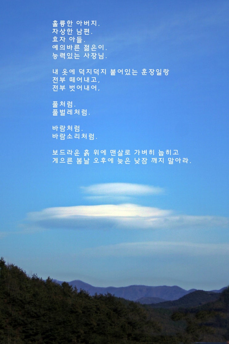  낮잠