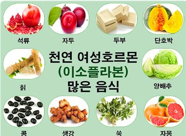 여성호르몬에 좋은 음식[석류]을 제대로 섭취하는 방법