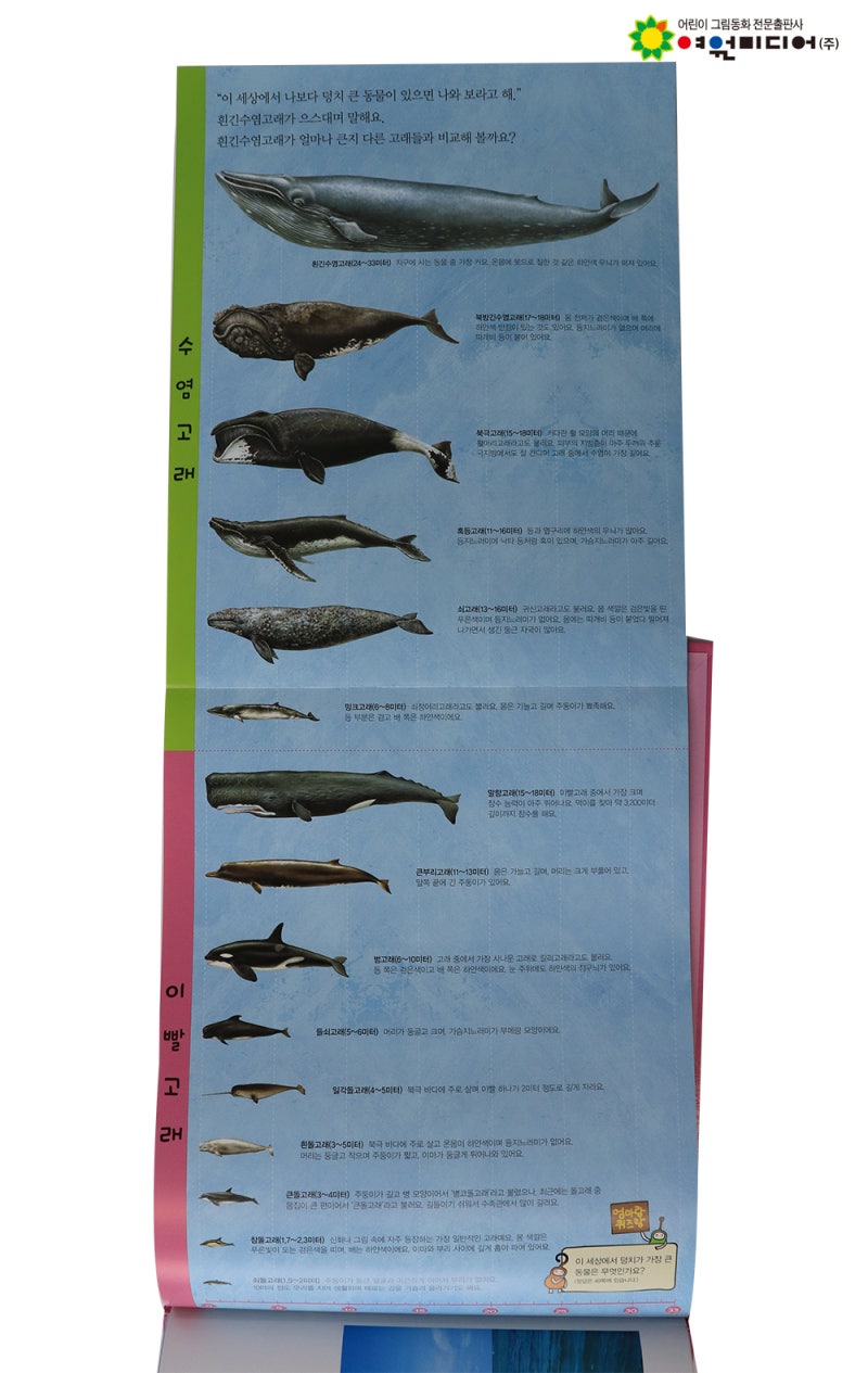 유아전집 탄탄 WIDE 자연속으로 고래 : 네이버 블로그
