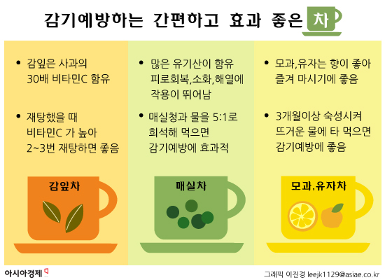  여름철 감기 예방에 좋은 차 - 탄현/제니스/덕이/운정 바른미술학원
