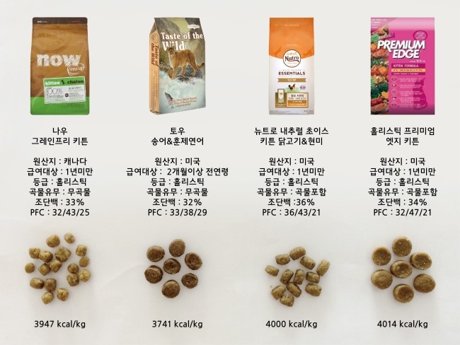  [고양이 사료 테스트][사료 이상형 월드컵 제2탄 ] 나우vs토우vs뉴트로vs프리미엄엣지